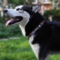 thumbnail image 3 of Collar de perro KISSBAK para perros pequeños, suave, ajustable, floral, morado, 3 of 6