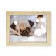thumbnail image 1 of Bulldog mascota animal solo foto Escritorio de madera Arte Pintura 6x8 pulgadas marco de foto foto, 1 of 4