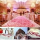thumbnail image 3 of 1000 piezas de pétalos de rosa de seda artificiales decoración boda fiesta blanco lechoso Sailing Electrónica, 3 of 5