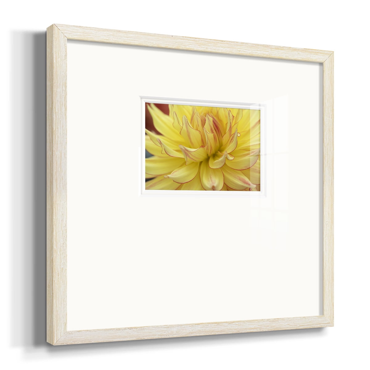 Blooms I-Premium Framed Print