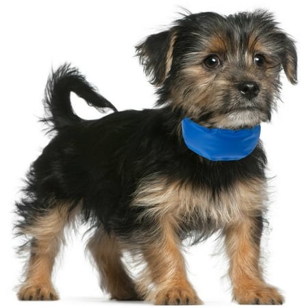 PETMAKER Cooling Pet Collar Up, Blue (Best Dog Cooling Collar)