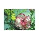 thumbnail image 2 of ABPHQTO Wall Art Clavel Tapiz de pared colgante 150x225 cm, 2 of 3