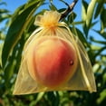 thumbnail image 4 of 100Pcs Fruit Protection Bags, Green Netting Cover Bags Drawstring Mesh Fruit Protectors Pest Barrier for Tomato Mango Trees Veggies Garden(XL,Gold), 4 of 6