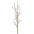 thumbnail image 1 of Plum Blossom-Cream Tige Florale, 1 of 1
