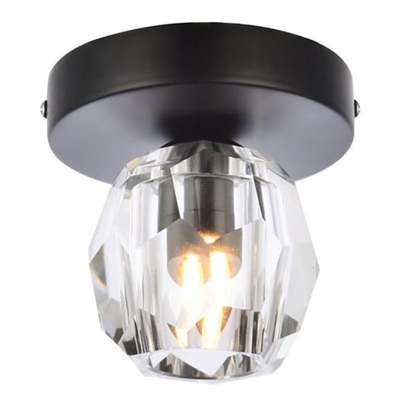 Maklaine 1-Light Stainless Steel and Glass Flush Mount in Black