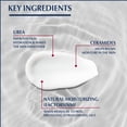 thumbnail image 4 of Crema de manos Eucerin UreaRepair Plus 5% Urea 75 ml, 4 of 6