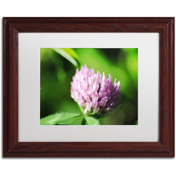 Trademark Fine Art "Vindictive Lust" Canvas Art by Monica Mize, White Matte, Wood Frame