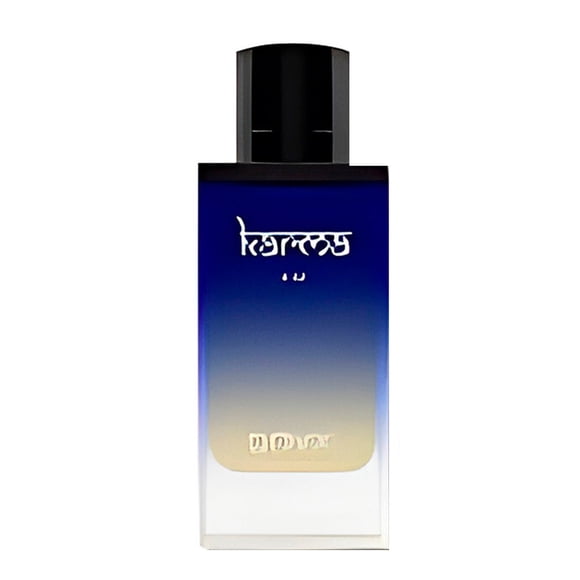Perfume I Love Perfume Fragrances Dubai Karma Onyx 100 ml para hombre