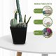 thumbnail image 3 of OULII 120Ud Macetas De Plástico Para Plantas Miniaturas Ideales Para Bonsáis Y Suculentas Decorativas, 3 of 8
