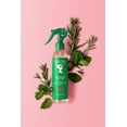 thumbnail image 5 of Camille Rose Rosemary Water Daily  Refresh & Hydrate Strengthening Mist Spray with Rosemary Oil & Peppermint Oil, 8oz, 5 of 11