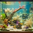 thumbnail image 4 of UPGRATOR De Acuario Con Escultura De Coral Artificial En Resina Para Acuático Multicolor, 4 of 6