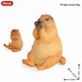 thumbnail image 2 of Oenux Wild Animals Simulation Rodent Marmot Mouse Model Squirrel Rat Chinchilla Action Figure Figurine Collection Cute Kid Toy, 2 of 10