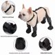thumbnail image 3 of Suspender Dog Boots Leggings with Anti-Slip Sole for Small & Medium Dogs, Paw Protector, Perfect for Outdoor Walking, Hiking, Waterproof and Anti-Fall Dog Shoes with Adjustable Strap (m), 3 of 5