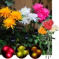 thumbnail image 1 of Xihbxyly Luz Led para Jardín, Diseño de Simulación de Flores para Exteriores, Recargable, Iluminación Nocturna Deslumbrante, Decoración de Césped y Caminos, Ideal para Reuniones Familiares, 75 Cm de, 1 of 3