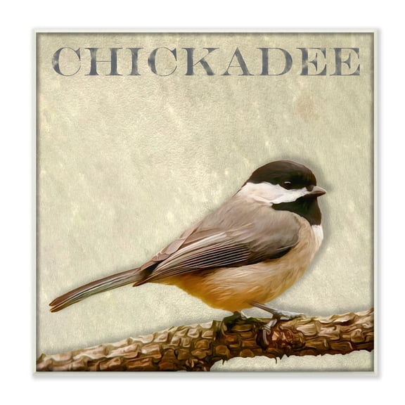Stupell Industries Chickadee Bird Tree Branch Text Illustration Wood Wall Art, 12 x 12, Design by Alpenglow Workshop