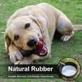 thumbnail image 6 of Dog Toys for Aggressive Chewers Bone Dog Toy Interactive Dog Toys for Large Dog Chew Toys for Aggressive Chewers,Dinosam Indestructible Dog Toy for Medium Large Dogs, 6 of 7