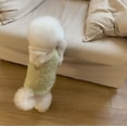 thumbnail image 3 of Mascota de dos patas con sombrero abrigo diseño de moda perro pequeño mediano disfraces cálidos de invierno cachorro mascota ropa de algodón chaleco para Chihuahua, 3 of 5