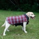 thumbnail image 3 of Ropa para mascotas Ropa para perros chaqueta a cuadros para perros de otoño e invierno disponible, 3 of 5
