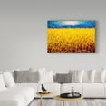 thumbnail image 3 of Trademark Fine Art 'Homage to Van Gogh 1' Canvas Art by John Nolan, 3 of 3