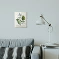 thumbnail image 2 of Stupell Industries Botanical Plant Illustration Blue Flowers Vintage Design Wood Plaque by Unknown, 2 of 6