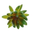 thumbnail image 4 of Planta Artificial De 3,54 Pulgadas #11 #12 Macarena Planta suculenta artificial, 4 of 8