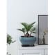 thumbnail image 4 of Macetas de cerámica for plantas de interior con orificios de drenaje, modernas macetas for uso en interiores y exteriores., 4 of 6