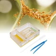 thumbnail image 3 of Rewera Acrylic Transparent Ant Breeding House Nest Formicarium Display Box Ornamental, 3 of 8