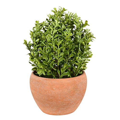 Vickerman Everyday 10" Indoor Artificial Green Boxwood Moderne Bush - Ceramic Container - Decorative Faux bush Of Durable Polyester - For Home Or Offi