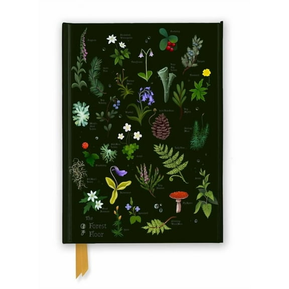 Flame Tree Notebooks Anna Stead: The Forest Floor (Foiled Journal), (Hardcover)