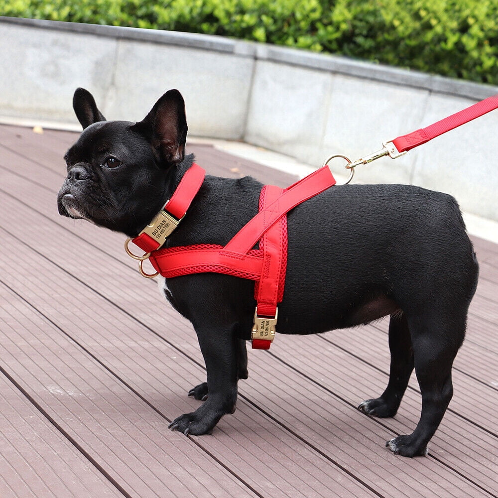Pet Artist 3pcs Personalized Dog Harness & Collar & Leash set Metal ID Name Metal Buckle Mesh Padded Adjustable