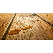 SEAL-ONCE MARINE Premium Wood Sealer, 1 Gallon - Outdoor Use