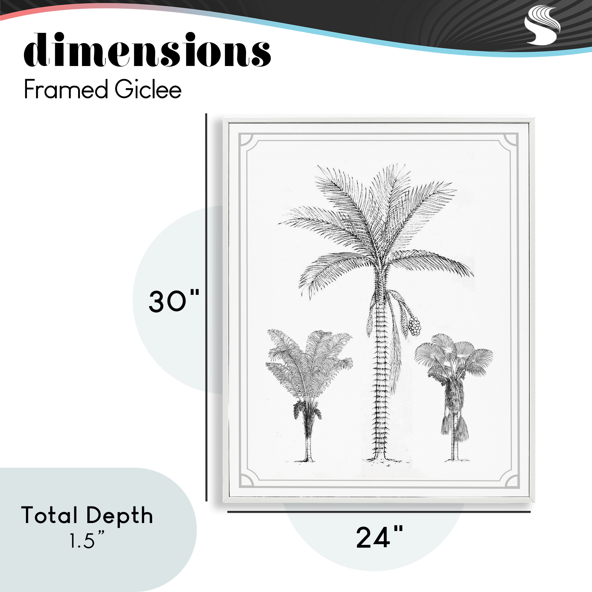 Palm Tree Trio Sketches White Framed Giclee Art, design by Lettered and Lined