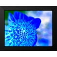 thumbnail image 2 of Grayscale 18x15 Black Modern Framed Museum Art Print Titled - Blue Ball II, 2 of 5