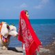 thumbnail image 4 of Bufanda chal extragrande bordada para mujer - Rojo vino, 4 of 5