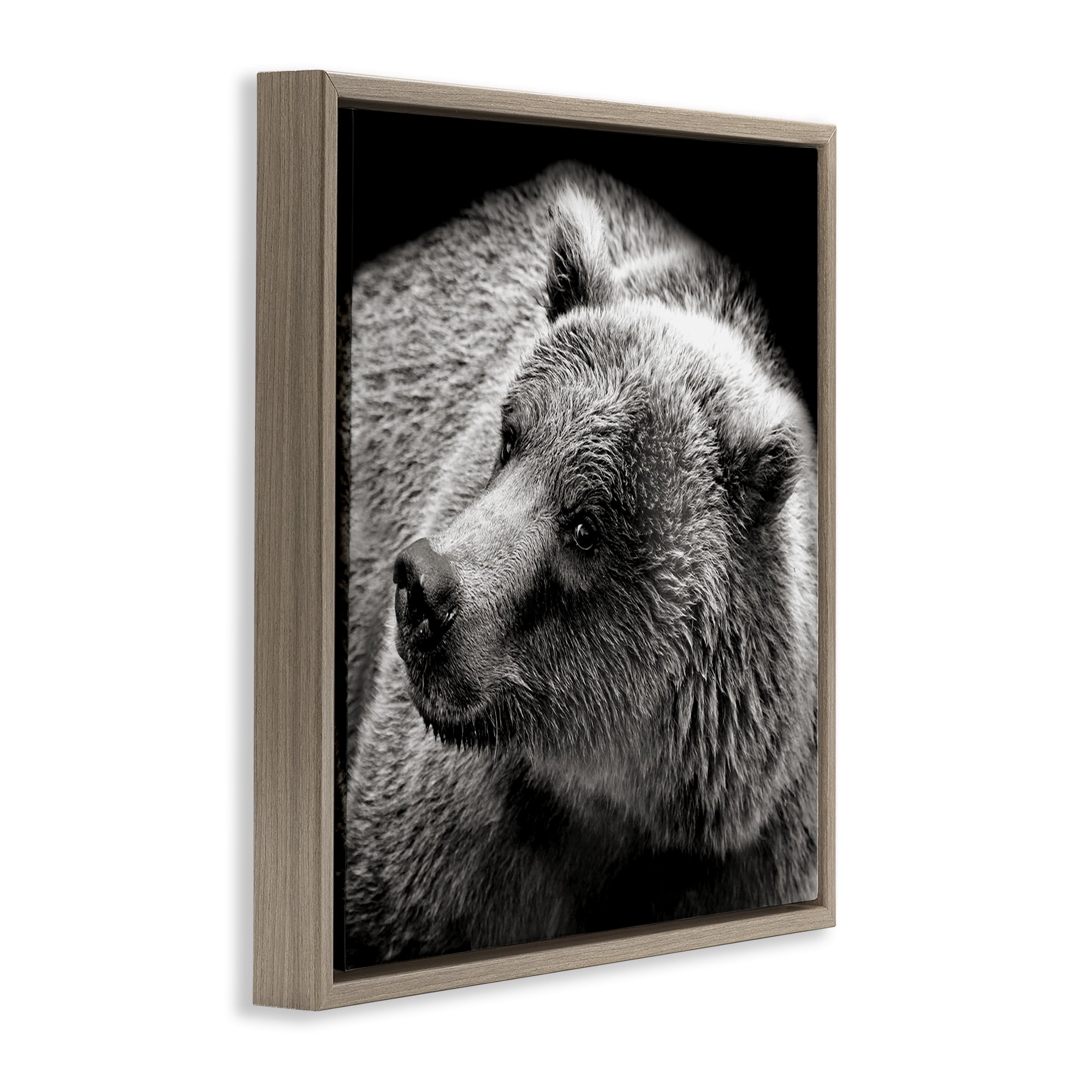 Stupell Industries Bear Looking Left Animals & Insects Photography Brown Floater Framed Canvas Art Print Wall Art, 25 x 25