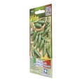 thumbnail image 2 of Semillas Rancho Los Molinos Vita Chile Jalapeño, 2 of 3