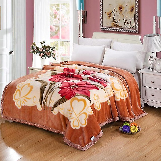 Thickened Bayeta Double Layer Laschel Blanket Cloud Blanket Double Flannel Blanket Blanket