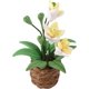 thumbnail image 1 of 1:12 Flower Pot Plant Miniature Ornament for Dollhouse Decor Fairy Garden Ornament, 1 of 5
