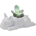 thumbnail image 1 of high quality Dog Resin Plant Pot, French Bulldog Succulent Planter Pot, for Indoor Cute Ornaments Home Office Desk Decor Gift, 1 of 5