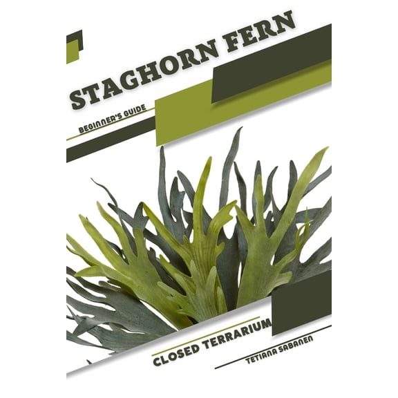 Staghorn Fern: Closed terrarium, Beginner's Guide, (Paperback)