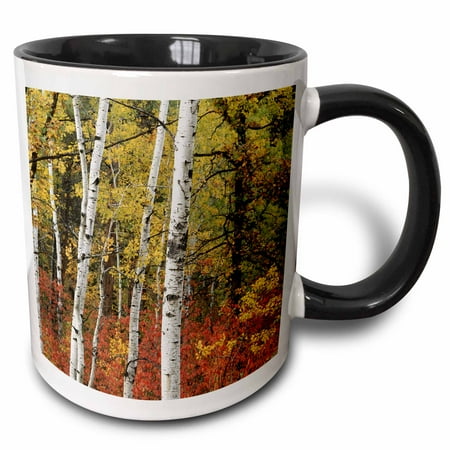 

3dRose USA South Dakota Custer Black hills area Custer SP Autumn foliage. Two Tone Black Mug 11oz
