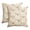 A, variant on Sm:)e Pencil Drawing Pumpkin Orange Fall Throw Pillow Cover 18x18 Inch Set of 2, Autumn Decorative Outdoor Cushion Cover for Sofa Couch