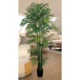 thumbnail image 2 of 7 Areca Palm Tree (Green) (84"H x 50"W x 50"D), 2 of 5