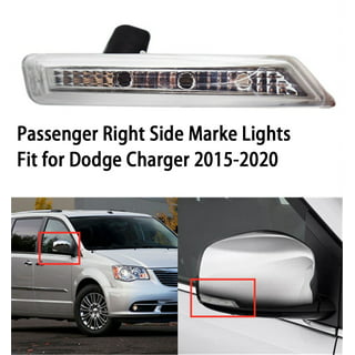 Dodge Door Lights