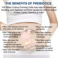 thumbnail image 6 of MENXI  Probiotics Digestive Enzymes -Prebiotics  Probiotics for Gut  Digestive Health - Meal Time Discomfort Relief,120 Capsules, 6 of 7