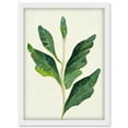 thumbnail image 1 of Detail Of Rubber Fig Plant Botanical Illustration Artwork Framed Wall Art Print A4, 1 of 4