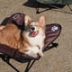 thumbnail image 3 of Cama elevada para perros y gatos Yeacher Cuna plegable para acampar aluminio, 3 of 8