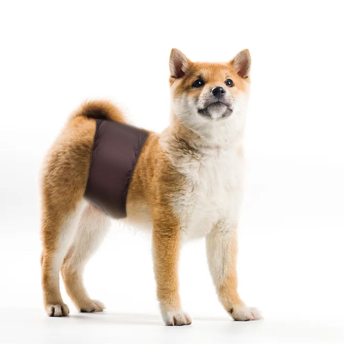 Reusable Washable Dog Diapers Male Belly Bands Pee Wrap for Boy Dogs - Coffee + Black + Grey