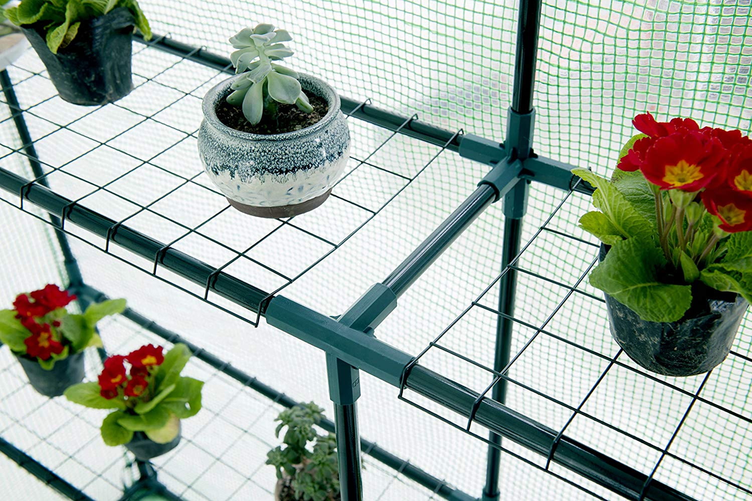 Genesis 61" L x 56" W x 79" H Portable Walk In Greenhouse with Heavy Duty Opaqua Cover