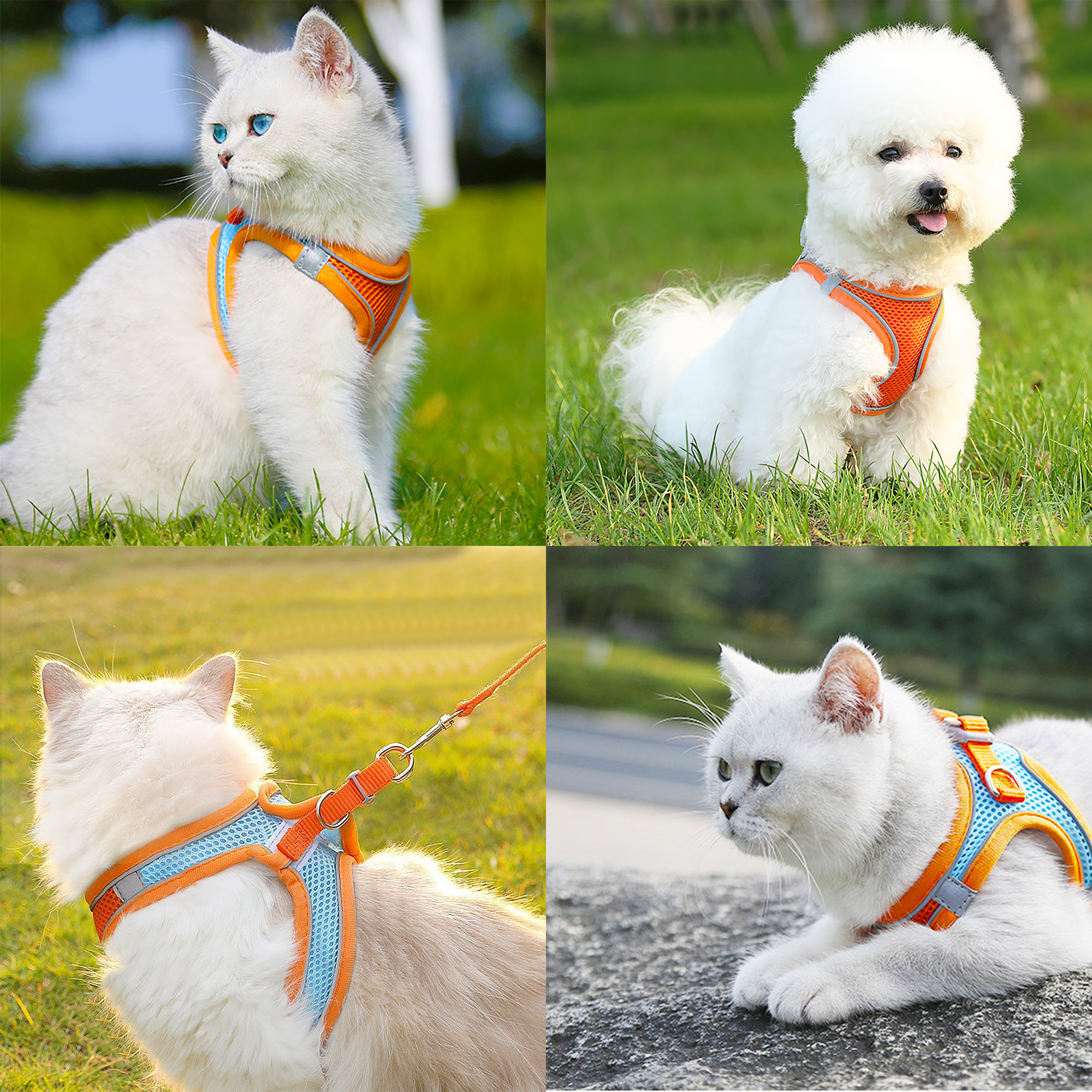 Gouwan No-Pull Dog Harness and Leash Set photo 4